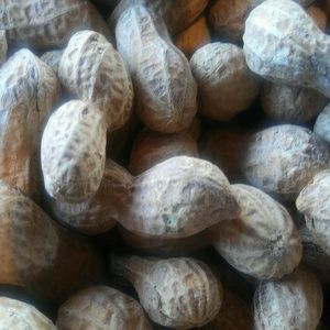 Meet your Posher, George